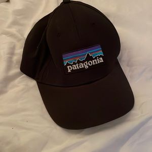 Patagonia baseball hat